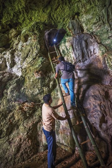 Members of the four-day expedition that took AramcoWorld to 10 of the Maros-Pangkep caves descend a bamboo ladder out of the interior of the cave named Bulu Sipong.