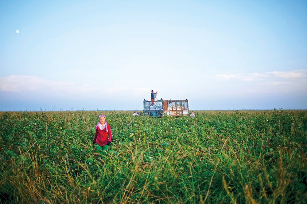 <p>In the 1960s, the Soviet Union's hunger for cotton—sometimes called “white gold”—inspired the building of 30,000 kilometers of irrigation canals along both the Syr Darya and Amu Darya rivers that diverted replenishment of the Aral Sea, which began to evaporate. This cotton field in Kazakhstan is shared by three families.</p>