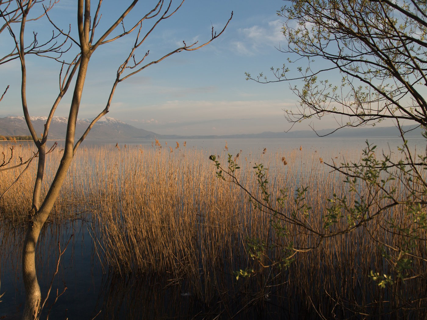 <p>Between the mountains of Albania and Macedonia, the road skirts the placid northern shore of Lake Ohrid, whose circumference, noted the geographer al-Idrisi in the 12th century, was about three days&#39; walking.</p>
