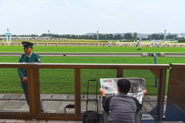 <p>Trackside viewing secured, an early bird reads a program while groundskeepers check the turf track of the world&rsquo;s largest horse racing stadium.</p>
