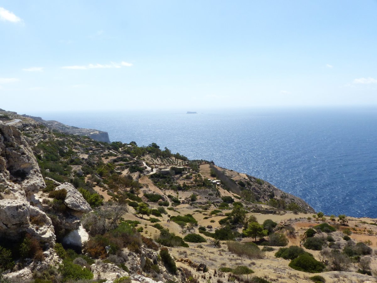 Along the Malta coast land has been cleared and used for agriculture including olive tree orchards.