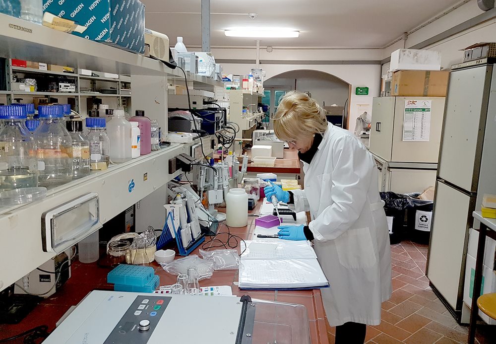 At the Institute of Agro-environmental and Forest Biology in Italy, Maria Emilia Malvolti studies genetic samples of walnuts from across Asia.