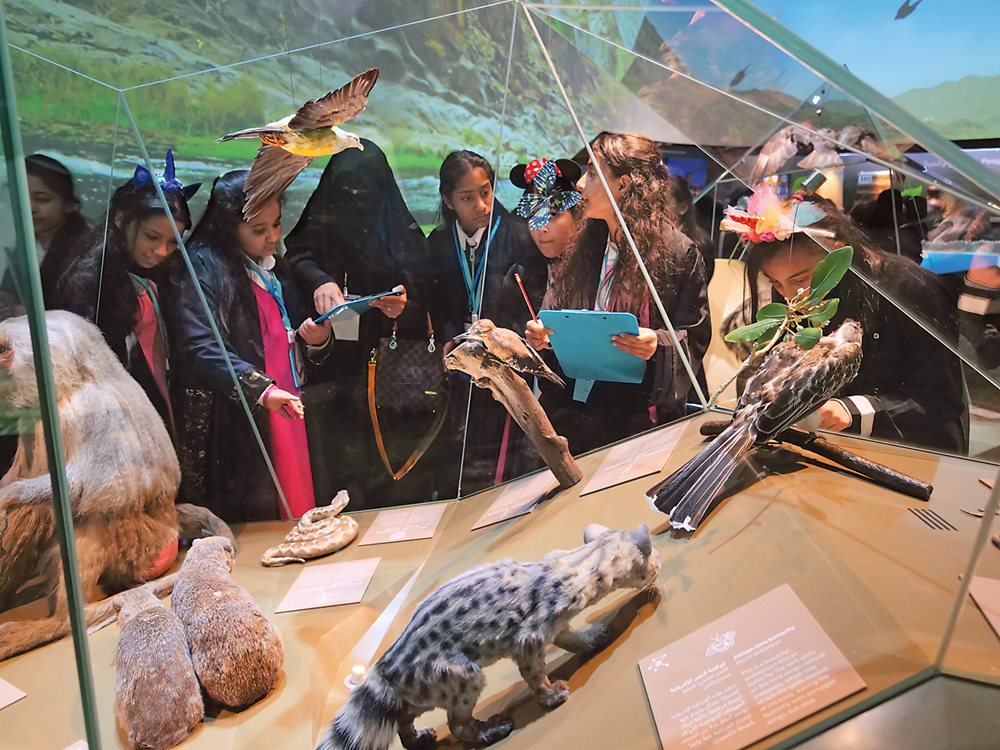 Youth learn about Saudi Arabia’s seashore, mountain, desert and other habitats and inhabitants in the natural history galleries of the museums that also show both Islamic and contemporary art.