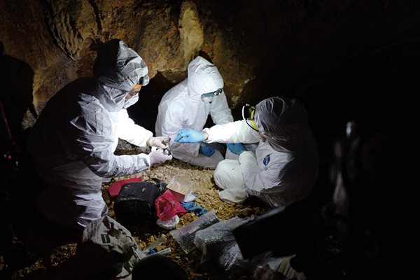 In Lebanon, Human Link cofounder Ghazi Kayali leads a search in a fruit bat cave, looking for bats that may carry the novel coronavirus.  