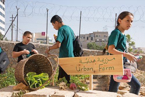 Its programs include urban gardening for youth.