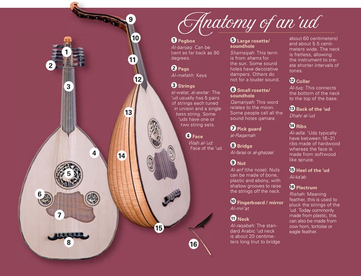 Diagram of the 'Ud