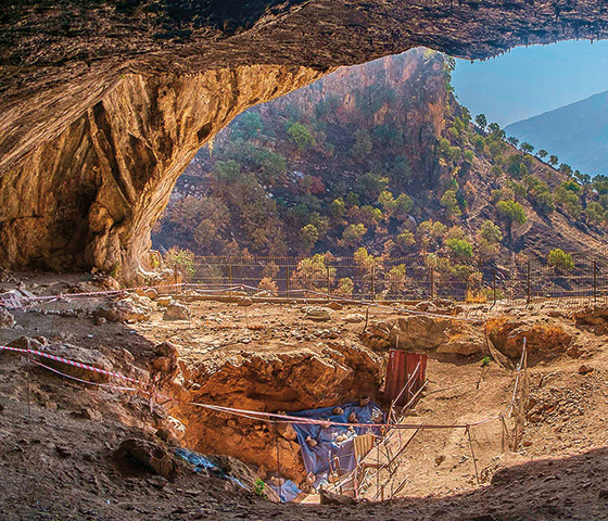 Inside Shanidar Cave, blue tarpaulins cover parts of trenches started by Ralph Solecki and furthered recently by Graeme Barker and his team from Cambridge University. “We thought with luck we’d be able to find the locations where they had found Neanderthals in the 1950s, to see if we could date the surrounding sediments,” says Barker. “We didn’t expect to find any Neanderthal bones.” 