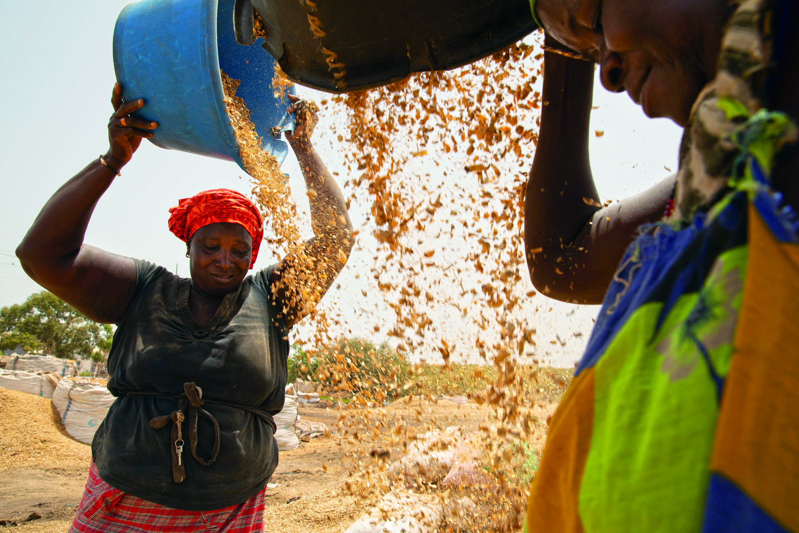 Nothing is wasted in the groundnut value chain, and the husks are used as fertilizer.