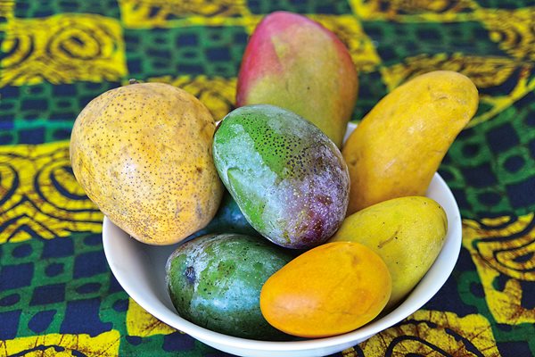 There are many types of mangos, each with unique flavors and sweetness levels and they come in a variety of colors, shapes and sizes.