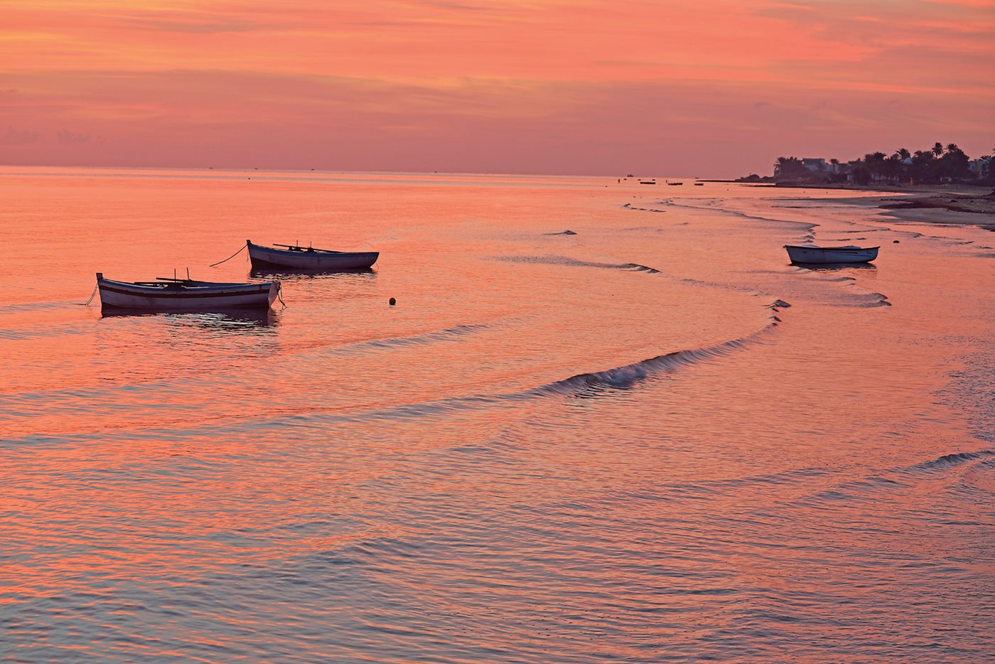 Along the Mediterranean shores around Zarzis, currents have been washing ashore remains of hundreds of people—most of them unidentified and unidentifiable—who perished on their voyages “fleeing poverty, climate change [and] war,” says Koraïchi. 