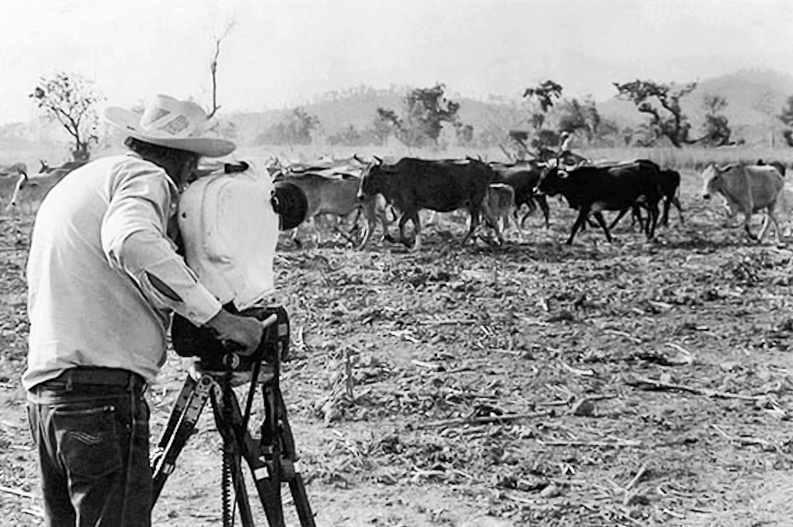 Kafati films No hay tierra sin dueño, which centers around a ruthless cattle rancher, Don Calixto, who destroys anyone who questions his authority or ownership of the land. The film unflinchingly takes on agricultural practices.