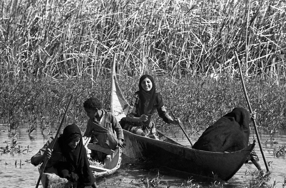 Women and a young boy fish with hand-lines and gather edible plants. 