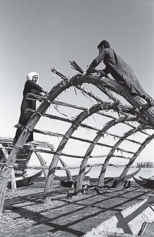 Men build a house from bundled reeds in the village of Al-Dubbon. After more horizontal bundles are added. it will be roofed with mats of split, plaited reeds that direct rainwater down the sides.