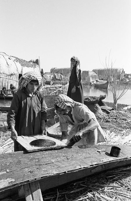 A villager applies thick bitumen, purchased with the proceeds of fish and reed-mat sales to Iraqis outside the Marshes, to seal a mashuf in Al-Sahein village.