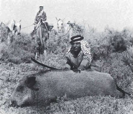 Tribesman hunt the huge, razor-tusked boars lurking in the reeds by the hundreds.