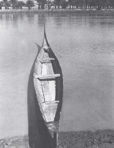 She was a beautiful craft that could carry as many as twelve people. Thirty-six feet long but only three and a half feet at her widest beam, she was carvel-built, flat-bottomed and covered outside with a smooth coating of bitumen over the wooden planks. The front swept forwards and upwards in a perfect curve to form a long, thin, tapering stem; the stern too rose in a graceful sweep. Two feet of the stern and of the bows were decked; there was a thwart a third of the way forward, and a strengthening beam across the boat two-thirds of the way forward. Movable boards covered the floor. The top part of the ribs was planked along the inside and studded with five rows of flat, round nail-heads two inches across. These decorative nails were the distinguishing mark of a tarada which only a sheikh may own.