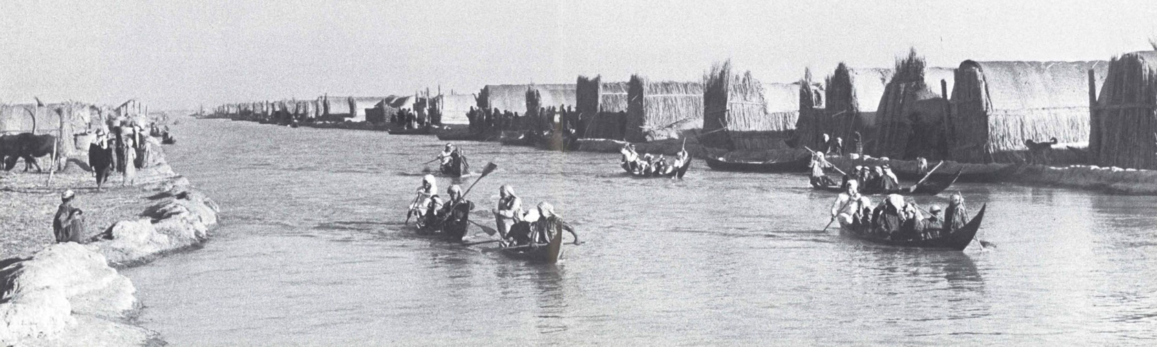 "The Majar river, a branch of the Tigris, divided below Majar al Kabir into the Adil and the Wadiya, both of which dispersed into the Marsltes about eight miles farther down, having by then lost much of their water in irrigation channels. We followed one of these channels until we joined the Adil, on which Majid's village lay..."