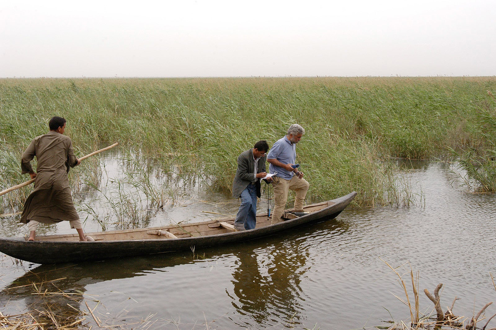 Kermashia Marsh has seen water again for nearly a year now. “Look at how dense it is!” exclaims Alwash. “It’s a jungle!”