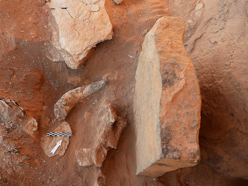 At the center of one end of each mustatil, archeologists have found a single, low covered chamber, some of which have horns such as this one from cattle, right. 