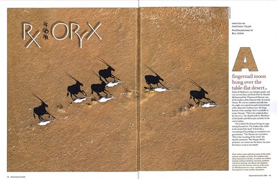 Matthew Teller’s 2009, “RX for Oryx,” story showed how innovations in conservation helped preserve the endangered antelope. top Teller’s 2020 story, “Green Mosques Generate Positive Energy,” spotlighted the innovative conservation efforts of mosques across the globe.