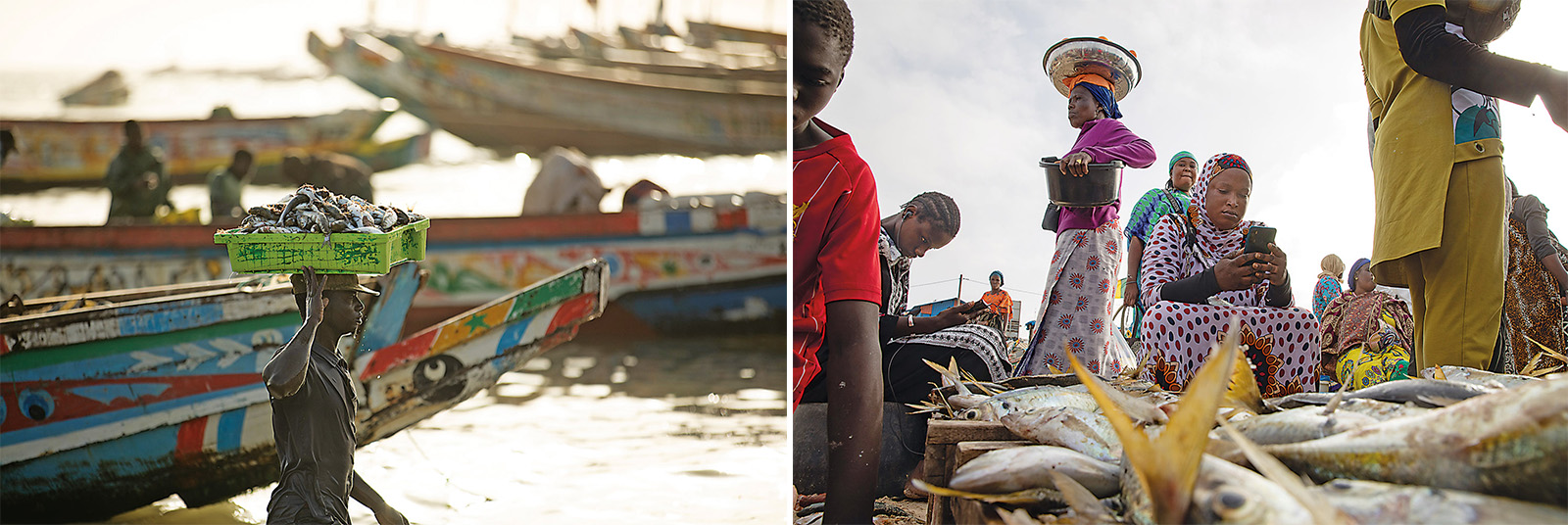 Offloaded from the pirogue, fish are moved to coolers and bins for transport or just carried on a tray to a market such as this one in Mbour, where fish are cleaned, sorted, sometimes cooked on grills and sold alongside a variety of other foods and wares.